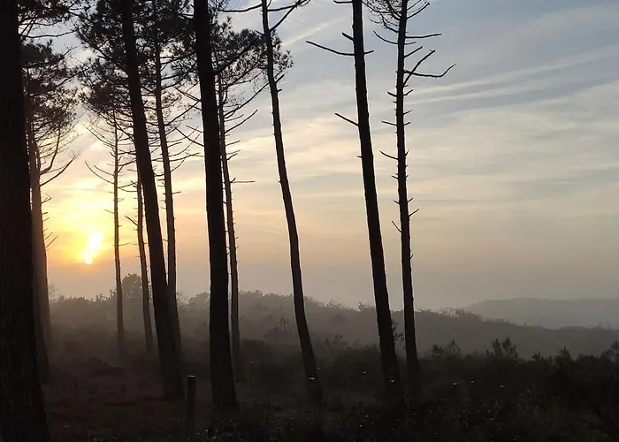 Cosy Green, Ocean, Golf, Piscine, Wifi Moliets-et-Maa